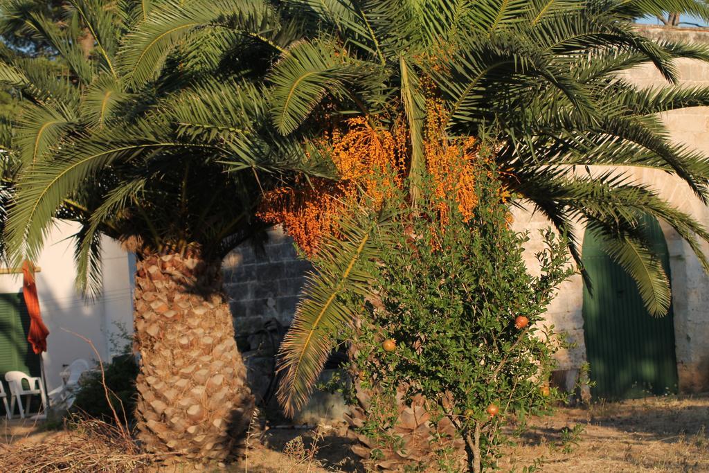 Masseria Vivi Il Salento Santa Caterina  الغرفة الصورة