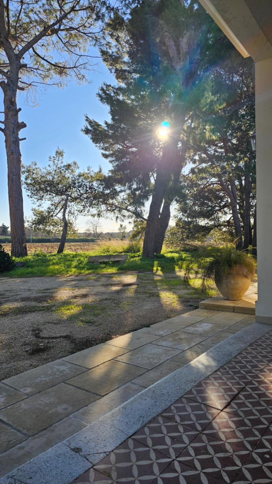 Masseria Vivi Il Salento Santa Caterina  المظهر الخارجي الصورة