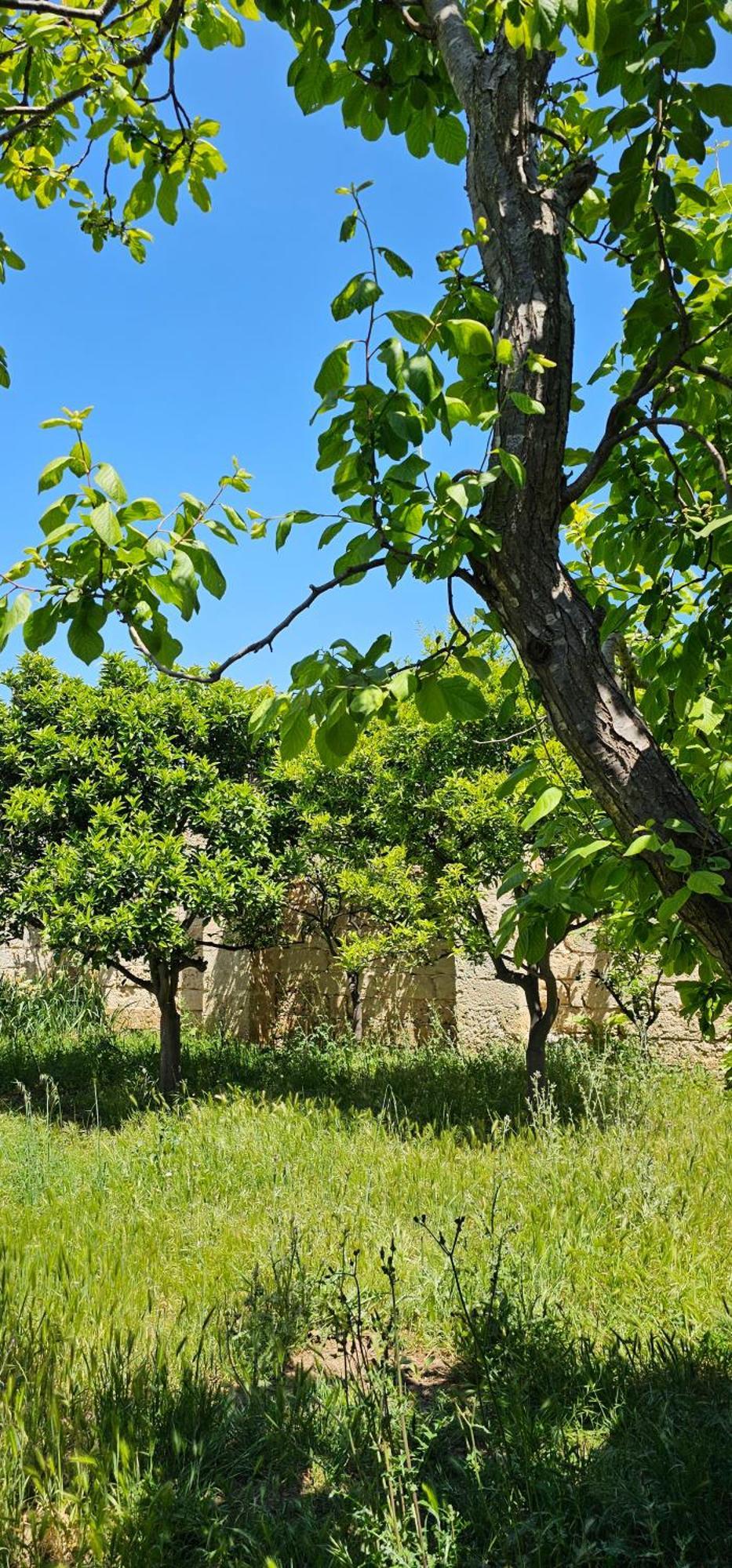 Masseria Vivi Il Salento Santa Caterina  المظهر الخارجي الصورة