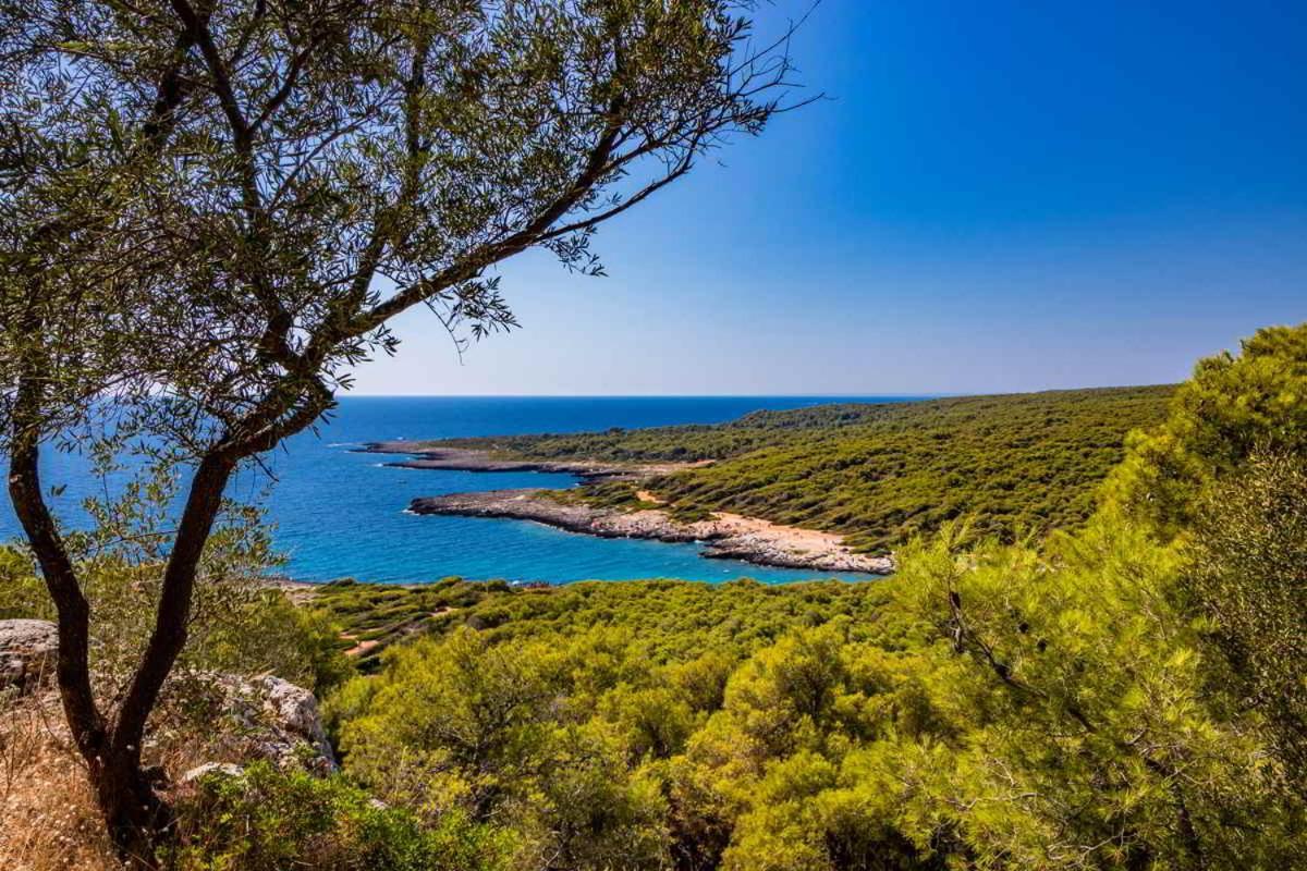 Masseria Vivi Il Salento Santa Caterina  المظهر الخارجي الصورة