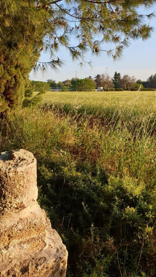 Masseria Vivi Il Salento Santa Caterina  المظهر الخارجي الصورة